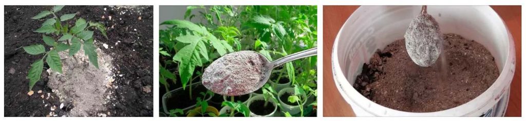 Зола для комнатных растений: применение сухого вещества и раствора