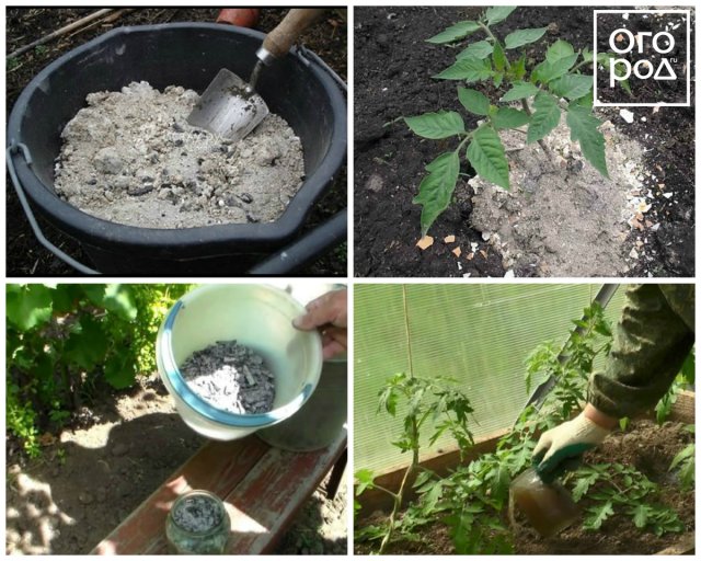 Древесная зола как органическое удобрение для комнатных растений