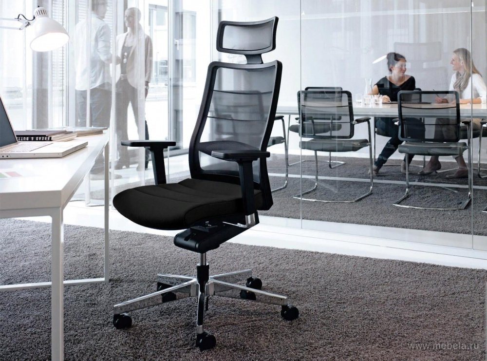 Офисный стул: разновидности, характеристики, использование