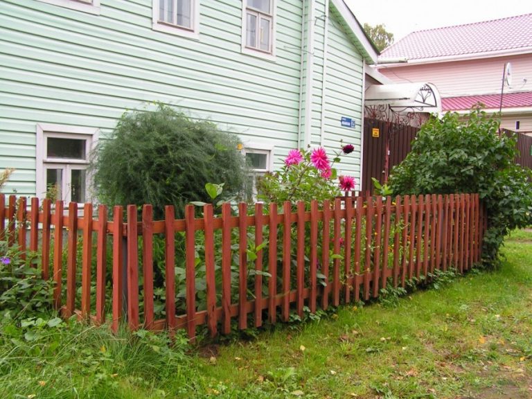 Забор для палисадника около дома из металлического профлиста и штакетника: варианты невысоких заборов
 - 18 фото